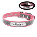 Coleira Personalizada Para Pets